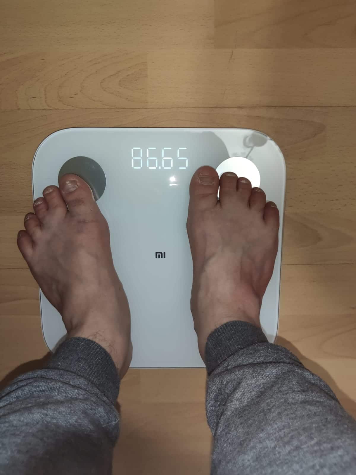 Mi Body Composition Scale 2 Review: Look Beyond the Numbers with